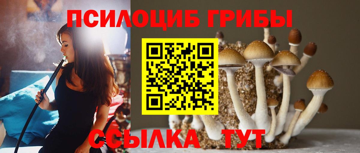 Псилоцибиновые грибы прущие грибы Заринск