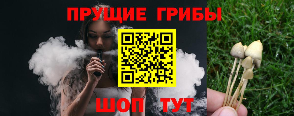 Галлюциногенные грибы Psilocybine cubensis  Галлюциногенные грибы ЛСД  Заринск  Вход с VPN 